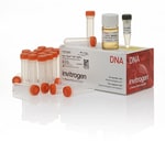 https://www.dev3.thermofisher.com/content/dam/LifeTech/Images/Brands/search/default-brand.jpg