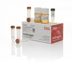 https://www.dev3.thermofisher.com/content/dam/LifeTech/Images/Brands/search/default-brand.jpg