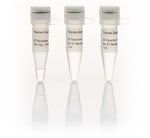 https://www.dev3.thermofisher.com/content/dam/LifeTech/Images/Brands/search/default-brand.jpg