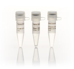 DNase I, RNase-free, HC (50 U/µL)