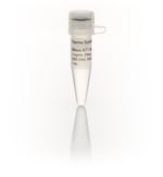 https://www.dev3.thermofisher.com/content/dam/LifeTech/Images/Brands/search/default-brand.jpg