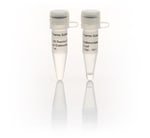 https://www.dev3.thermofisher.com/content/dam/LifeTech/Images/Brands/search/default-brand.jpg