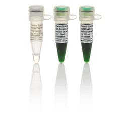 DreamTaq™ Hot Start Green DNA Polymerase