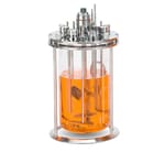 https://www.dev3.thermofisher.com/content/dam/LifeTech/Images/Brands/search/default-brand.jpg