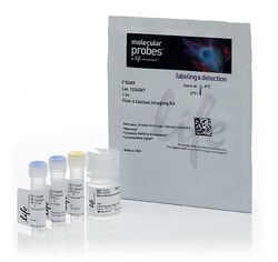 Fluo-4 Calcium Imaging Kit