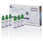 Flow Cytometry Sub-micron Particle Size Reference Kit