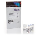 https://www.dev3.thermofisher.com/content/dam/LifeTech/Images/Brands/search/default-brand.jpg