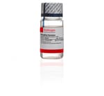 https://www.dev3.thermofisher.com/content/dam/LifeTech/Images/Brands/search/default-brand.jpg