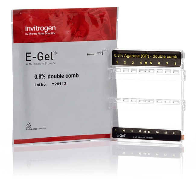 E-Gel&trade; Double Comb Agarose Gels, 0.8%