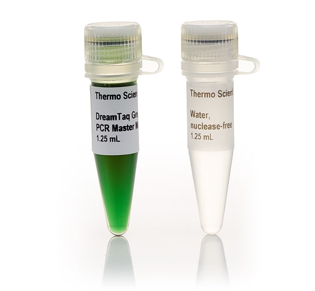 DreamTaq Green PCR Master Mix (2X) - Thermo Fisher Scientific