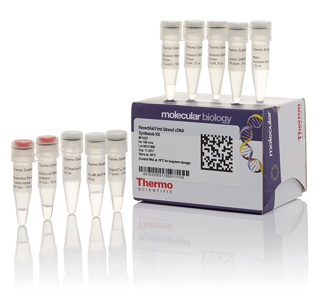 RevertAid First Strand cDNA Synthesis Kit - Thermo Fisher Scientific