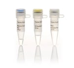 Maxima First Strand cDNA Synthesis Kit for RT-qPCR