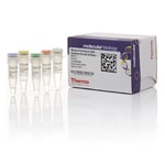 Maxima First Strand cDNA Synthesis Kit for RT-qPCR, with dsDNase ...