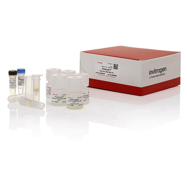 PureLink&trade; Genomic DNA Mini Kit