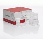 PureLink™ Quick Gel Extraction And PCR Purification Combo Kit