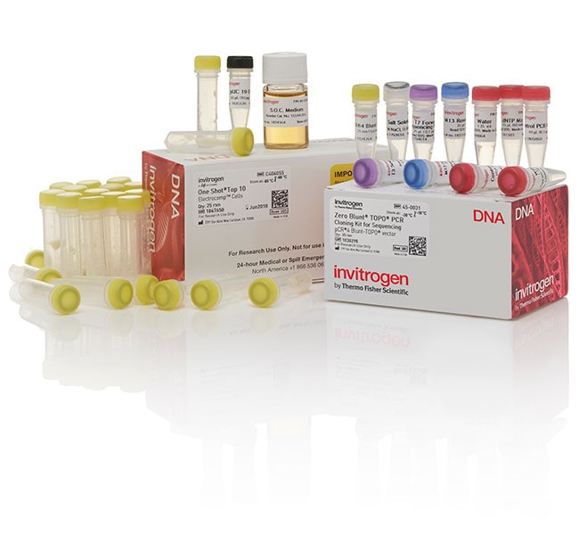 Zero Blunt&trade; TOPO&trade; PCR Cloning Kit for Sequencing, with One Shot&trade; TOP10 Electrocomp&trade; <i>E. coli</i>