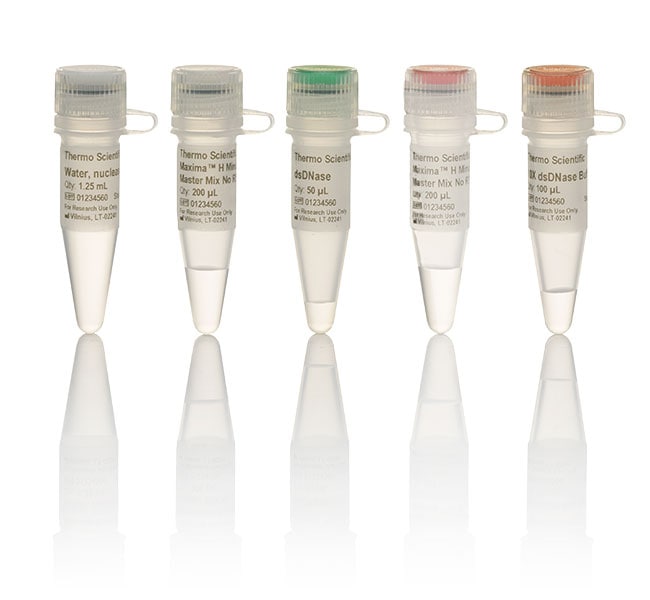 Maxima H Minus Cdna Synthesis Master Mix, With Dsdnase - Thermo Fisher 