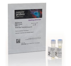 MitoProbe™ DiOC 2 (3) Assay Kit - For Flow Cytometry - 100 Assays