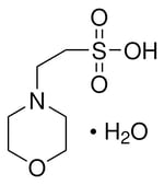 BIS-TRIS GMP Excipient USP - Bio Spectra