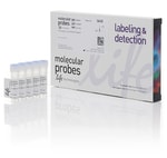 https://www.dev3.thermofisher.com/content/dam/LifeTech/Images/Brands/search/default-brand.jpg