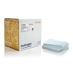 https://www.dev3.thermofisher.com/content/dam/LifeTech/Images/Brands/search/default-brand.jpg