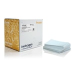https://www.dev3.thermofisher.com/content/dam/LifeTech/Images/Brands/search/default-brand.jpg