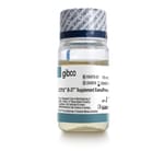 https://www.thermofisher.com/content/dam/LifeTech/Images/Brands/search/default-brand.jpg