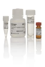 https://www.dev3.thermofisher.com/content/dam/LifeTech/Images/Brands/search/default-brand.jpg