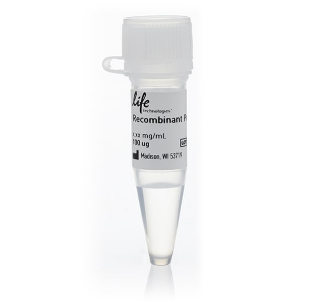 KIT [D816H] Recombinant Human Protein