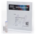Quant-iT&trade; RNA HS Reagent, 1 mL