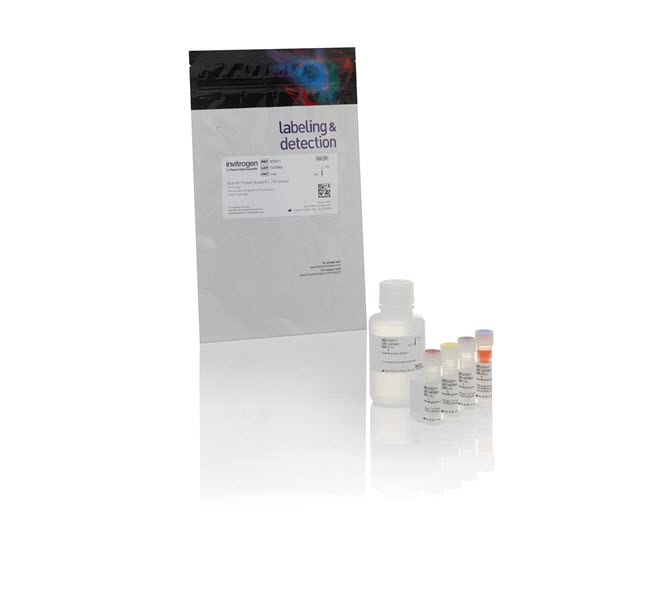 Qubit&trade; Protein and Protein Broad Range (BR) Assay Kits