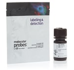 https://www.dev3.thermofisher.com/content/dam/LifeTech/Images/Brands/search/default-brand.jpg