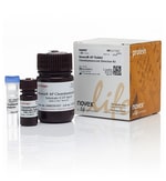 https://www.dev3.thermofisher.com/content/dam/LifeTech/Images/Brands/search/default-brand.jpg