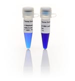 Lambda DNA/HindIII Marker, ready-to-use - Thermo Fisher Scientific