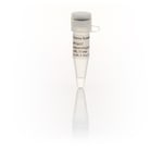 https://www.dev3.thermofisher.com/content/dam/LifeTech/Images/Brands/search/default-brand.jpg