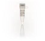 https://www.dev3.thermofisher.com/content/dam/LifeTech/Images/Brands/search/default-brand.jpg