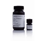 https://www.dev3.thermofisher.com/content/dam/LifeTech/Images/Brands/search/default-brand.jpg