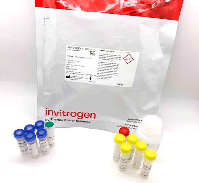CyQUANT&trade; Cytotoxicity Assay Kit (G6PD Release Assay)