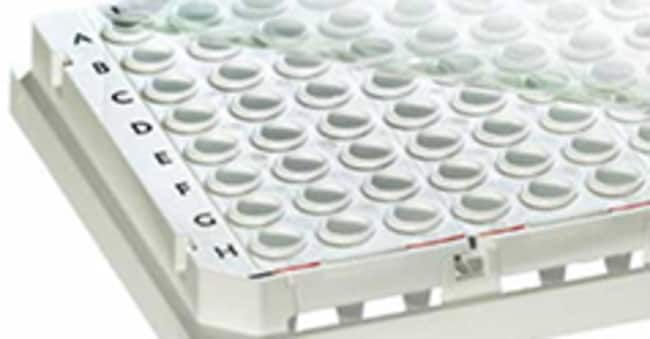 Optical Heat Seal, for Piko PCR plates