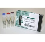 Single Cell Lysis Kit