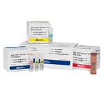 AmpFLSTR MiniFiler PCR Amplification Kit - Thermo Fisher Scientific