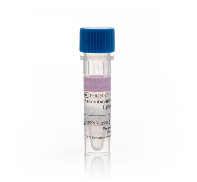 FGF Basic Recombinant Human Protein, Animal-Origin Free