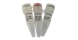 prodimage-T4-DNA-Ligase.jpg-250.jpg