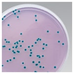 https://www.dev3.thermofisher.com/content/dam/LifeTech/Images/Brands/search/default-brand.jpg