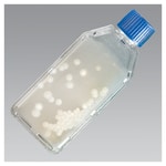 https://www.dev3.thermofisher.com/content/dam/LifeTech/Images/Brands/search/default-brand.jpg