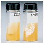 https://www.dev3.thermofisher.com/content/dam/LifeTech/Images/Brands/search/default-brand.jpg