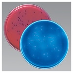 https://www.dev3.thermofisher.com/content/dam/LifeTech/Images/Brands/search/default-brand.jpg