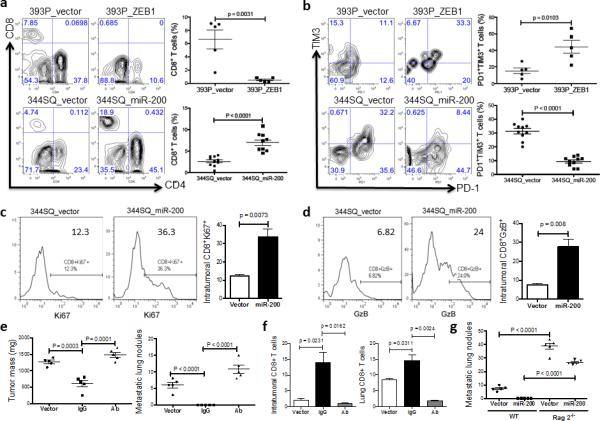 Granzyme B Antibody Pe Cyanine7 25 8898 82