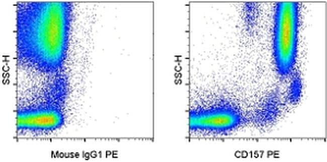CD157 Antibody, PE (12-1579-42)
