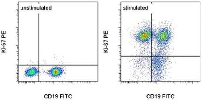 Ki-67 Antibody, PE (Monoclonal, SolA15)